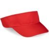 ALT-BVS-R_1024X1024 Basic Sun Visor