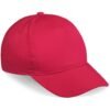 ALT-PIC-R_1024X1024 Piccolo Kids Cap - 5 Panel