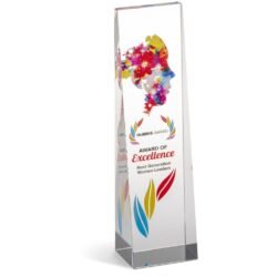 Altitude Hubris Award