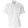 Mens Short Sleeve Kensington Shirt