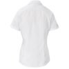 BAS-7757-W-GHBK_1024X1024 Ladies Short Sleeve Kensington Shirt