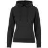 Ladies Omega Hooded Sweater