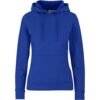 Ladies Omega Hooded Sweater