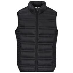 Mens Aurora Bodywarmer