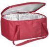 Hoppla Sudwala Food Delivery Cooler Bag
