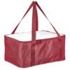 Hoppla Sudwala Food Delivery Cooler Bag
