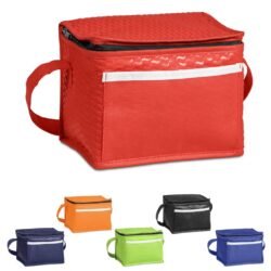 Brighton Non-Woven 6-Can Cooler