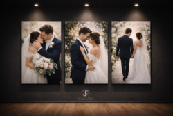 Signature Story Collection