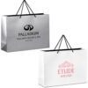 Altitude Majesty Maxi Paper Gift Bag