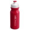 Altitude Carnival Plastic Water Bottle - 300ml