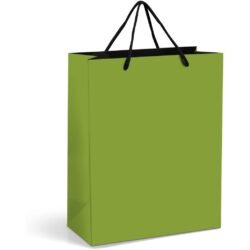 Altitude Omega Midi Paper Gift Bag