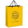Altitude Omega Midi Paper Gift Bag