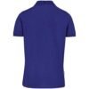 Mens Okiyo Tenyo Eco Golf Shirt