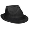 HS-AL-74-C-BL_1024X1024 Jackson Fedora Hat