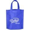 Altitude Giveaway Non-Woven Shopper
