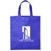 Altitude Budget Non-Woven Shopper