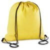 Altitude Whitefield Non-Woven Drawstring Bag