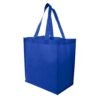 Altitude Shuttle Non-Woven Shopper