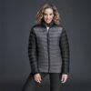 JC-AV-122-A-MOFR-034-NO-LOGO_1024X1024 Ladies Alex Varga Ascentia Jacket