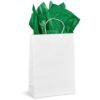 PG-AM-415-B-G-03-NO-LOGO_1024X1024 Altitude Artful Tissue Paper - Pack of 10 Sheets