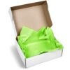 PG-AM-415-B-L-01-NO-LOGO_1024X1024 Altitude Artful Tissue Paper - Pack of 10 Sheets