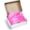 PG-AM-415-B-PI-01-NO-LOGO_1024X1024 Altitude Artful Tissue Paper - Pack of 10 Sheets