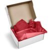 PG-AM-415-B-R-04-NO-LOGO_1024X1024 Altitude Artful Tissue Paper - Pack of 10 Sheets