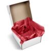 PG-AM-415-B-R-06-NO-LOGO_1024X1024 Altitude Artful Tissue Paper - Pack of 10 Sheets