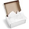 PG-AM-415-B-SW-02_1024X1024 Altitude Artful Tissue Paper - Pack of 10 Sheets