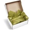 Altitude Lustre Tissue Paper - Pack of 10 Sheets