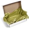 Altitude Lustre Tissue Paper - Pack of 10 Sheets