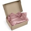 Altitude Lustre Tissue Paper - Pack of 10 Sheets