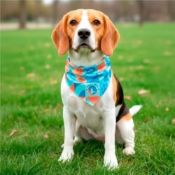 Pre-Printed Sample Hoppla Tyson Small Polyester Dog Bandana
