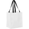 Pre-Production Sample Hoppla Gateway Recycled PET Stitch-Bond Shopper