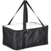 Pre-Production Hoppla Sudwala Food Delivery Cooler Bag