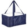 Pre-Production Hoppla Sudwala Food Delivery Cooler Bag