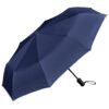 Serendipio Sleet Auto-Open Compact Umbrella