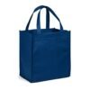Gala Non-Woven Shopper