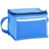 Brighton Non-Woven 6-Can Cooler