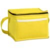 Brighton Non-Woven 6-Can Cooler