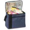 Blackstone 16-Can Cooler