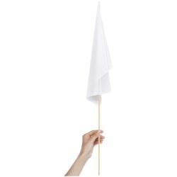 DISPLAY-1015-07-NO-LOGO_1024X1024 Champion Medium Hand Flag 450mm x 300mm