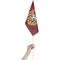 DISPLAY-1015-07_1024X1024 Champion Medium Hand Flag 450mm x 300mm