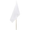 Champion Large Hand Flag 900mm x 600mm