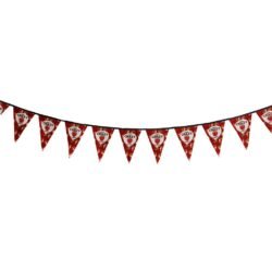 Sublimated Single-Sided Polyester Triangle Bunting 10m