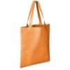 Altitude Expo Non-Woven Shopper