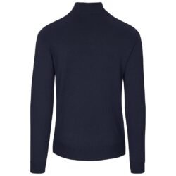 Mens 1/4 Zip Quantum Low Pill Jersey