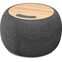 Swiss Cougar Geneva Wireless Charger & Bluetooth Speaker