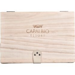 Serendipio Montega 2-Person Picnic Basket