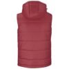 Mens Evolution Bodywarmer - Red